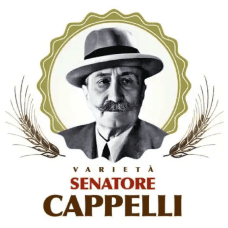 Senatore Cappelli