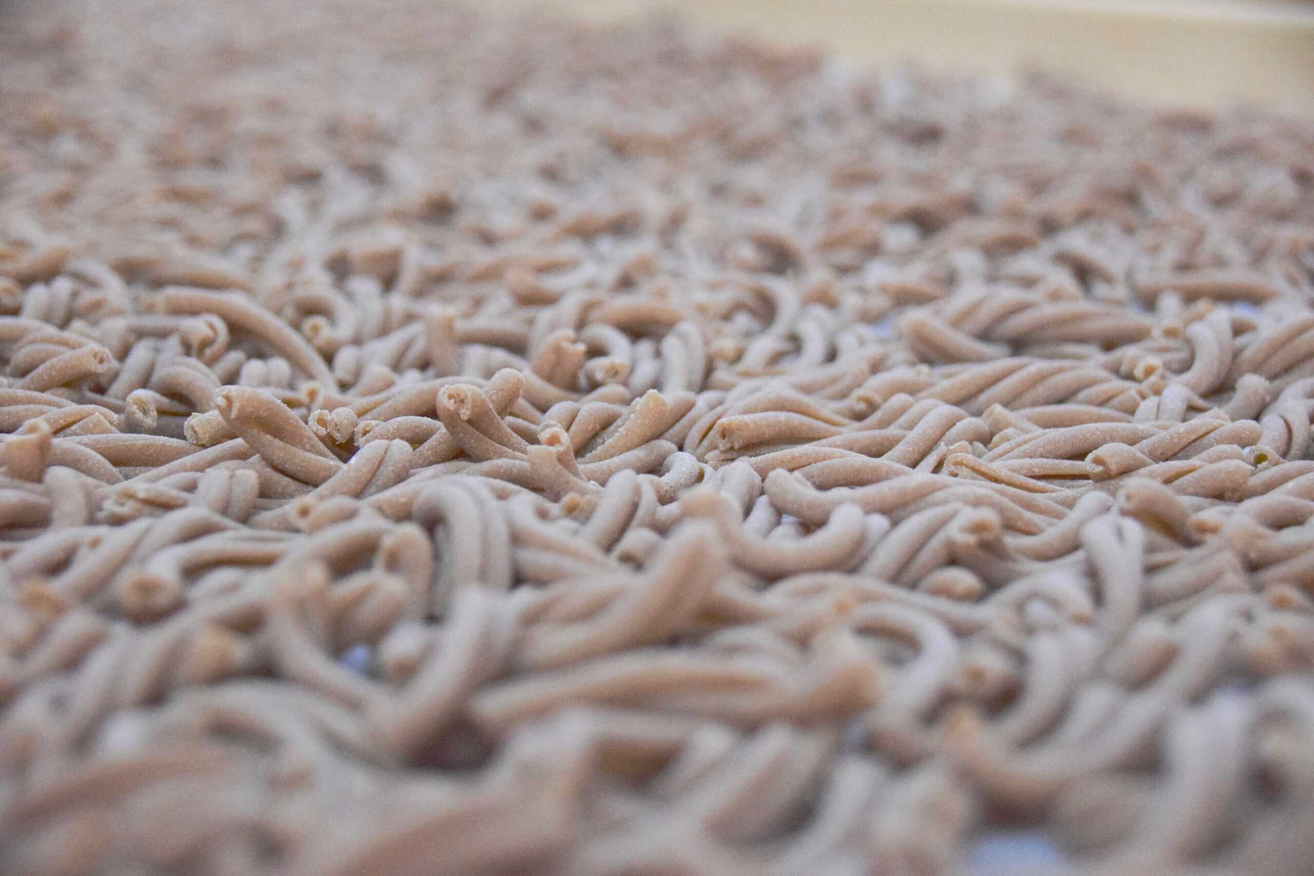 Pasta Herstellung bei Il Golosone