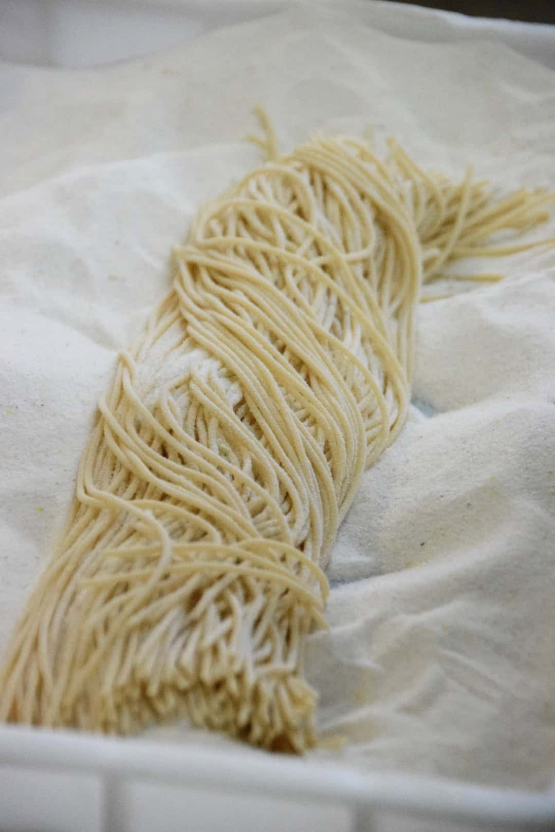 Frische italienische Pasta für die Gastronomie